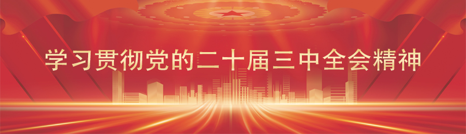 学习贯彻党的二十届三中全会精神
